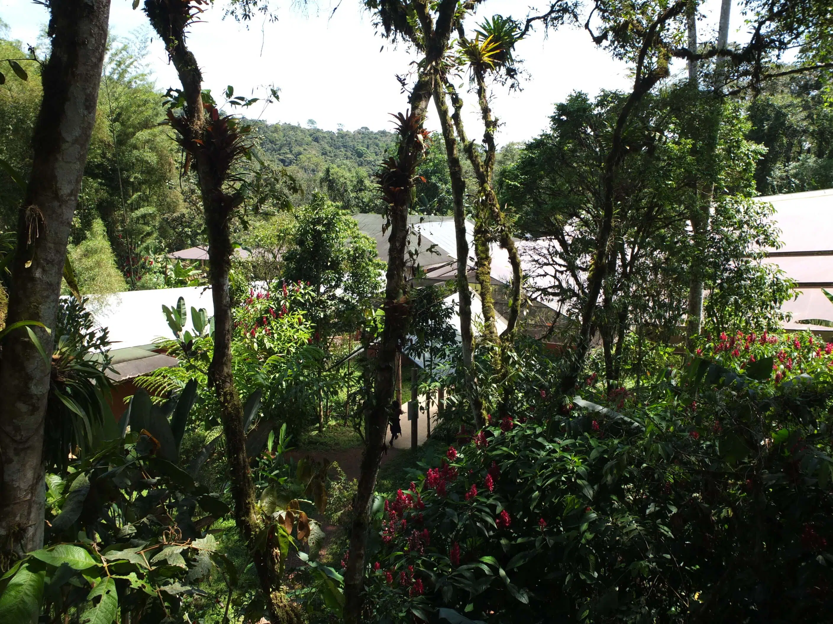 jardin mariposario