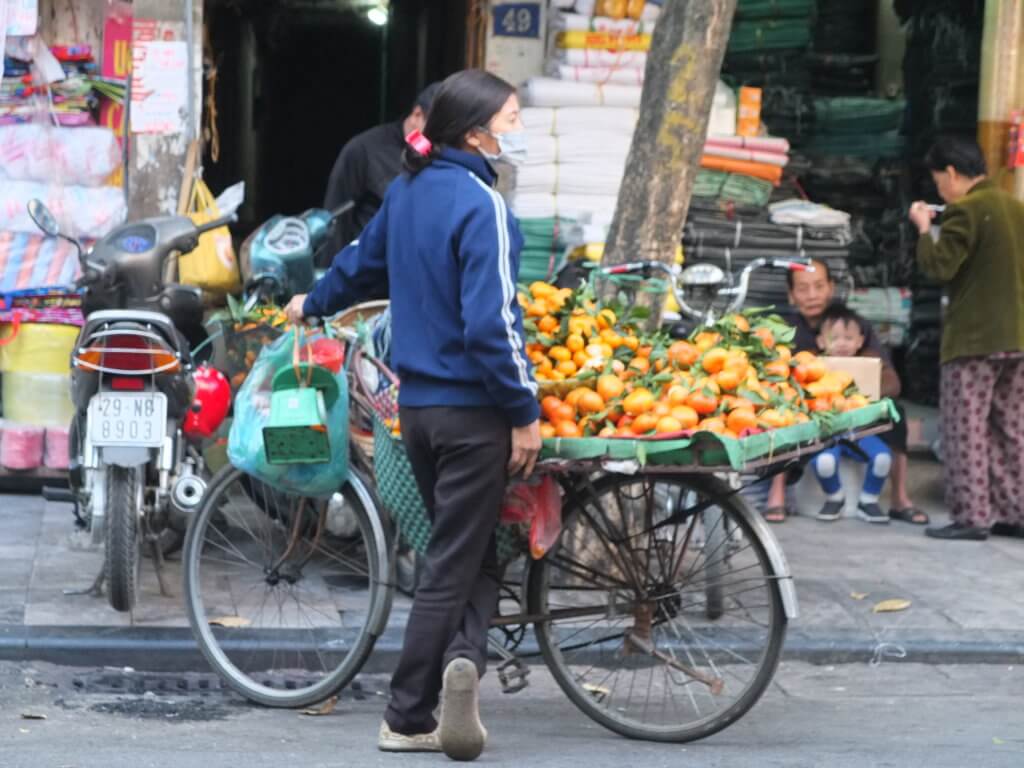 vendeuse de fleurs hanoi