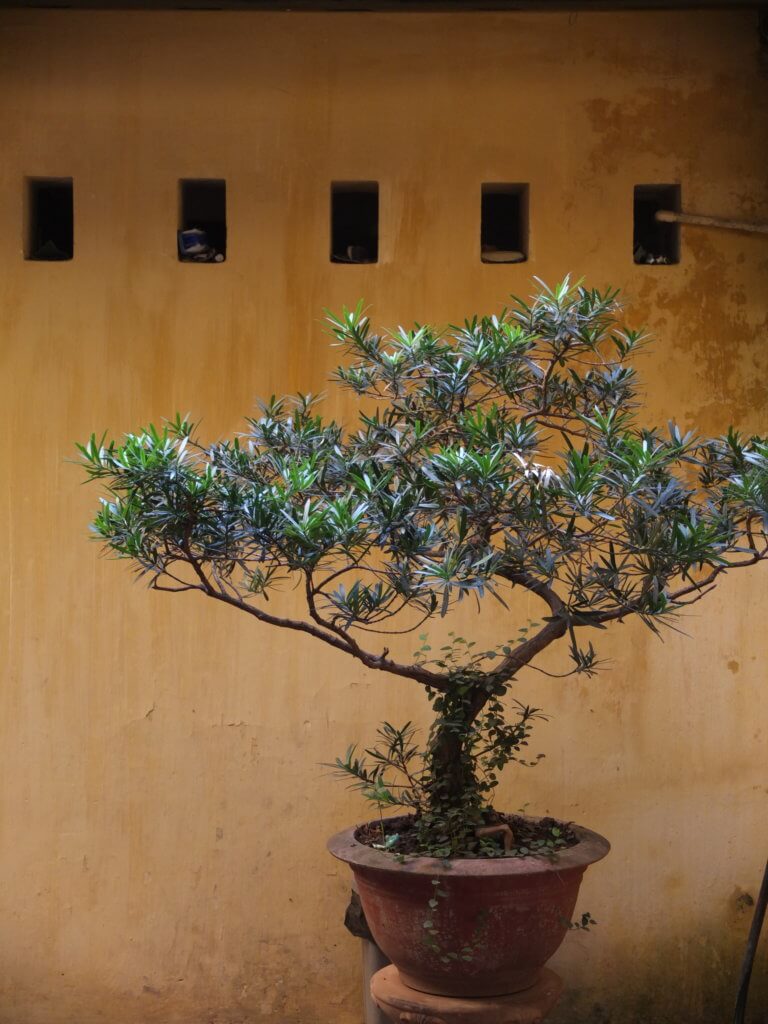 maison commerçant hanoi