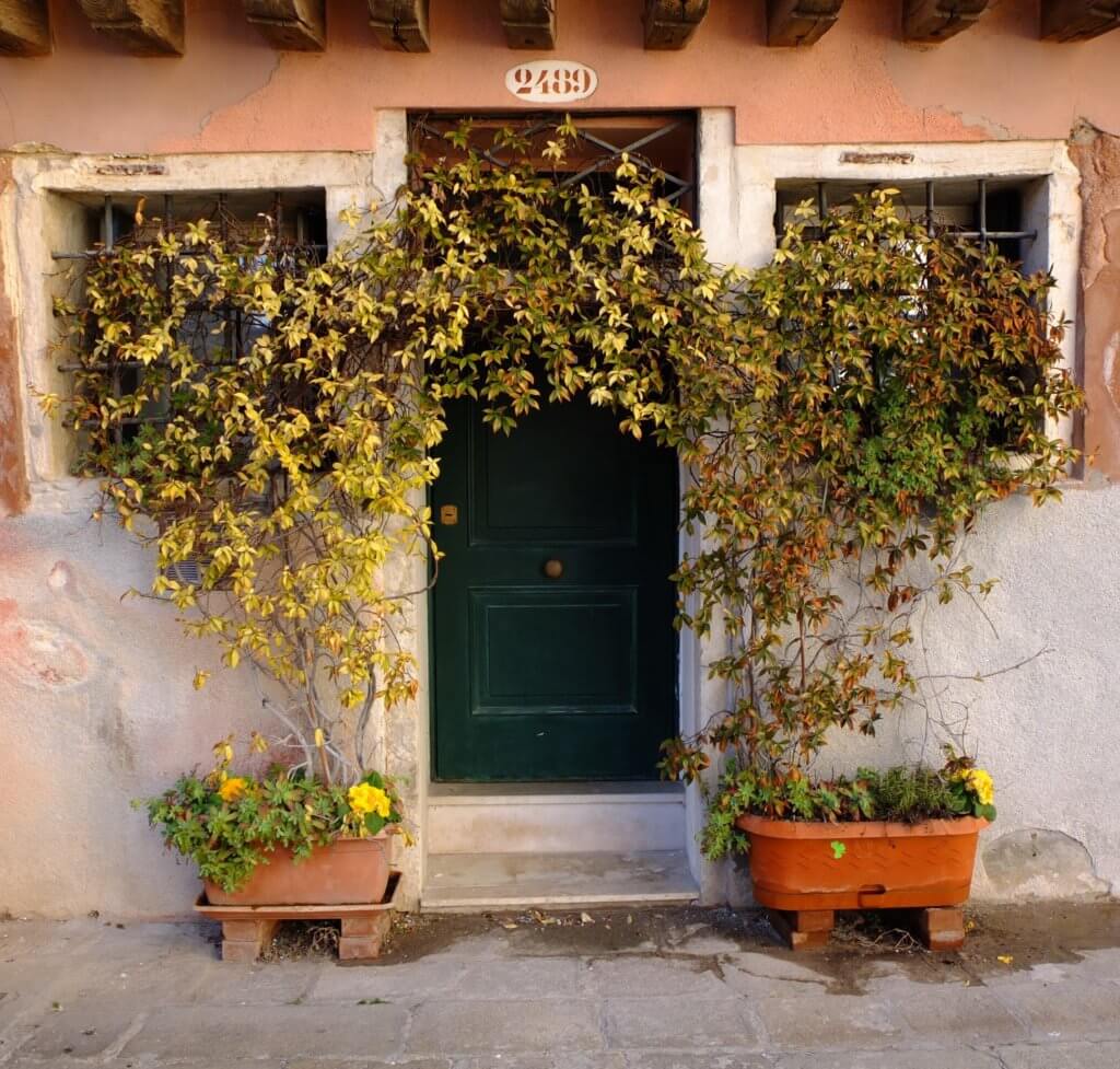 cannaregio façade fleurs