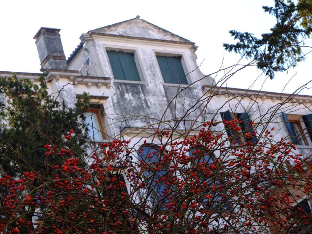 cannaregio venise