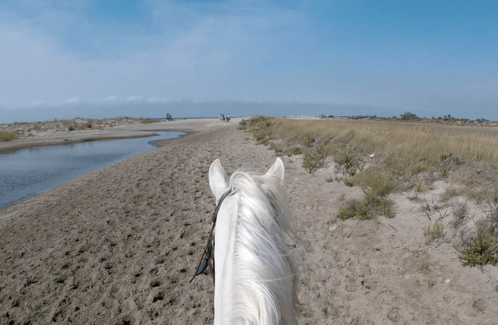 balade à cheval camargue