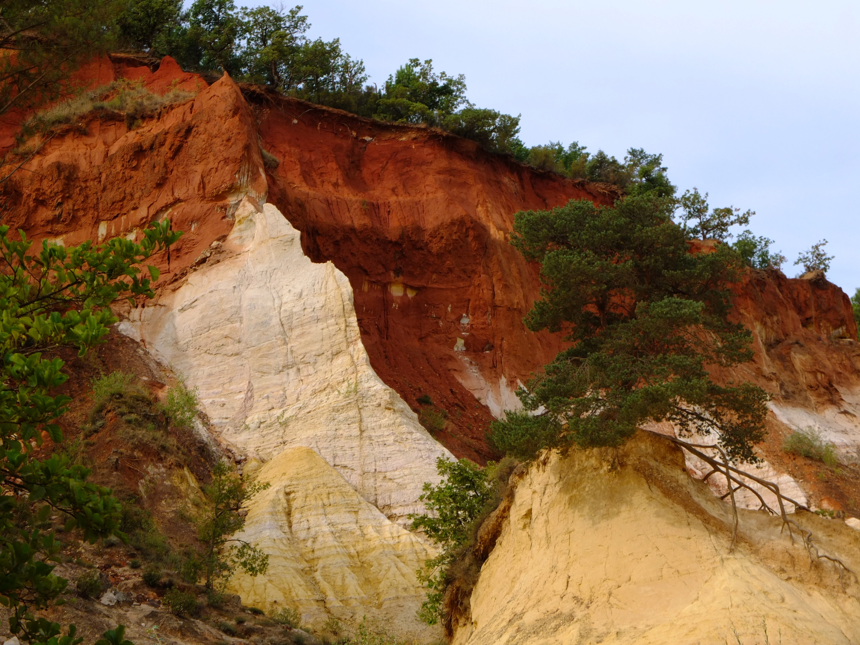 colorado provençal