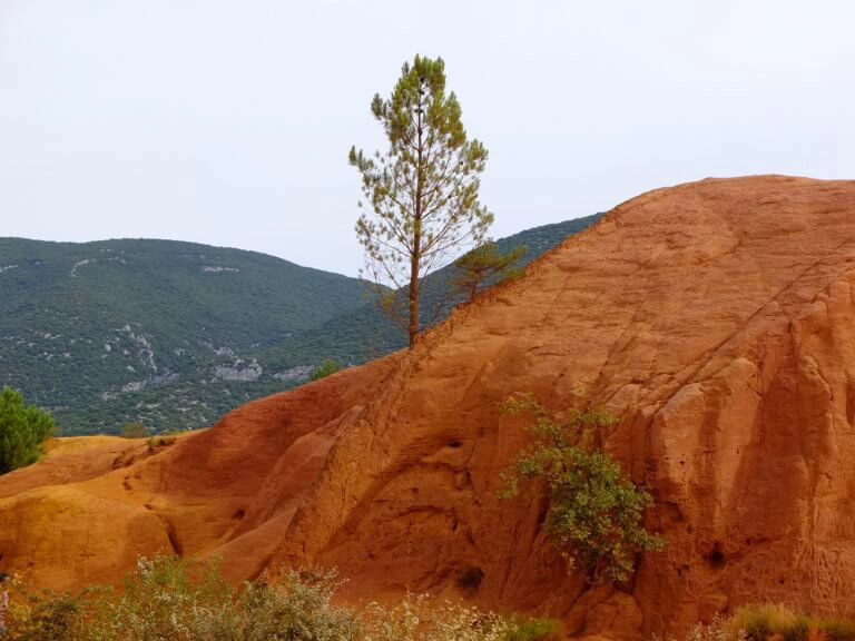 colorado provençal