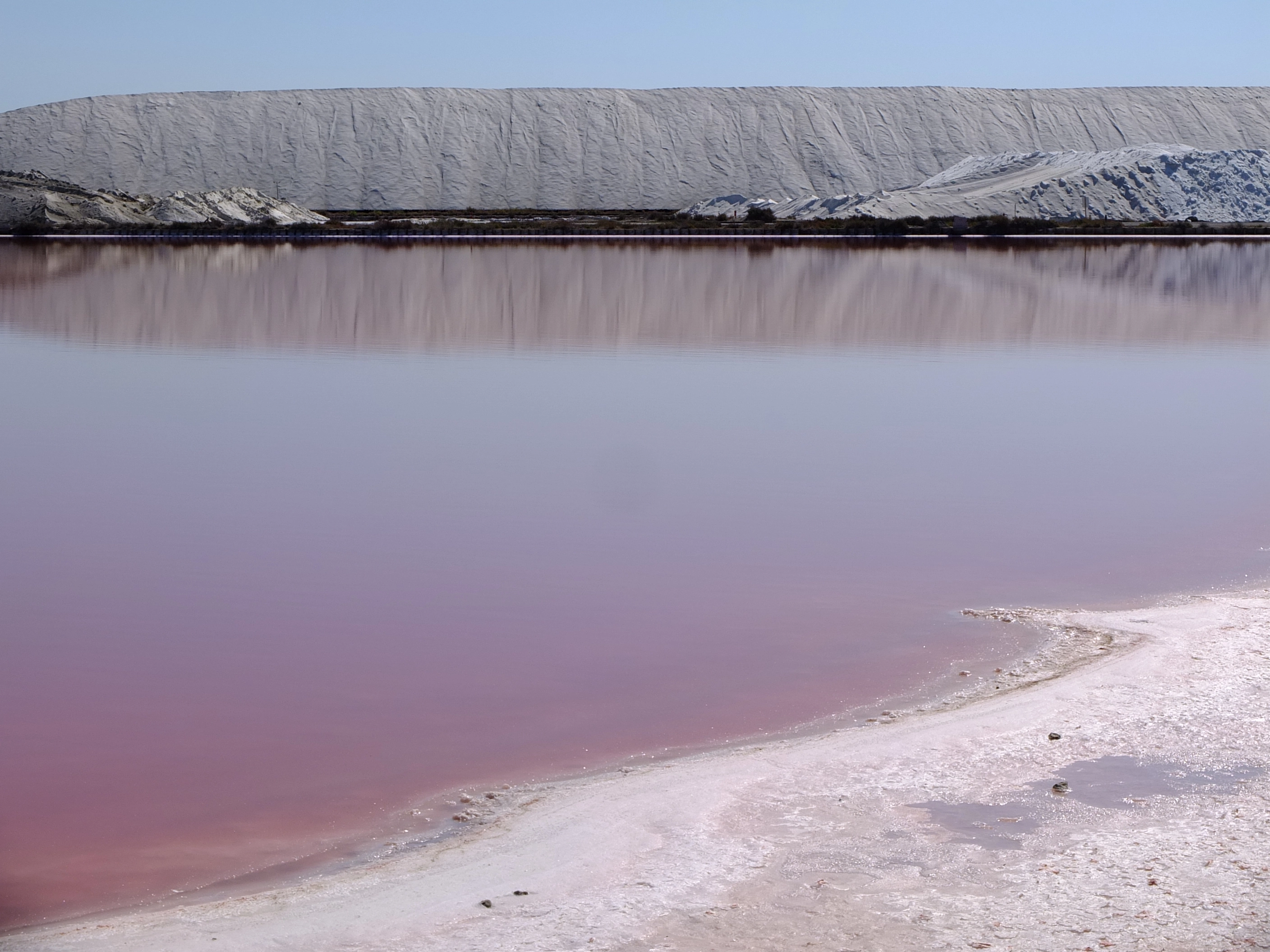 camargue salins aigues mortes