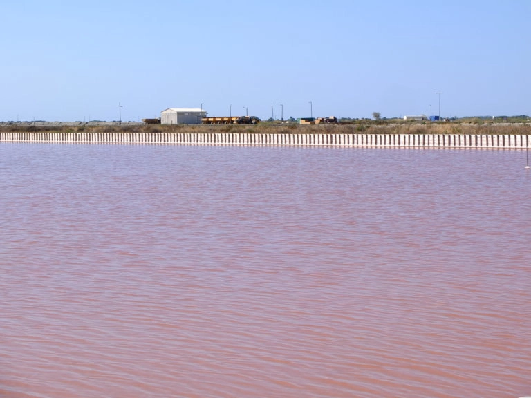 salins aigues mortes