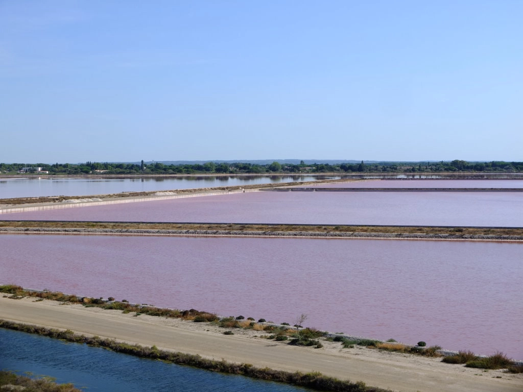 salins aigues mortes camargue