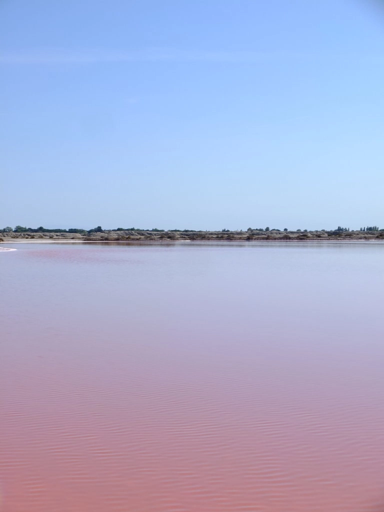 salins aigues mortes camargue
