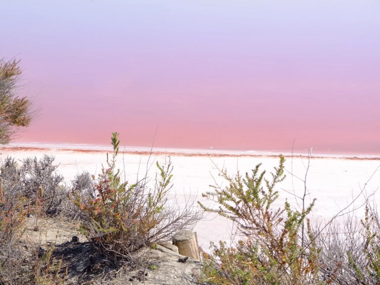 salins aigues mortes camargue
