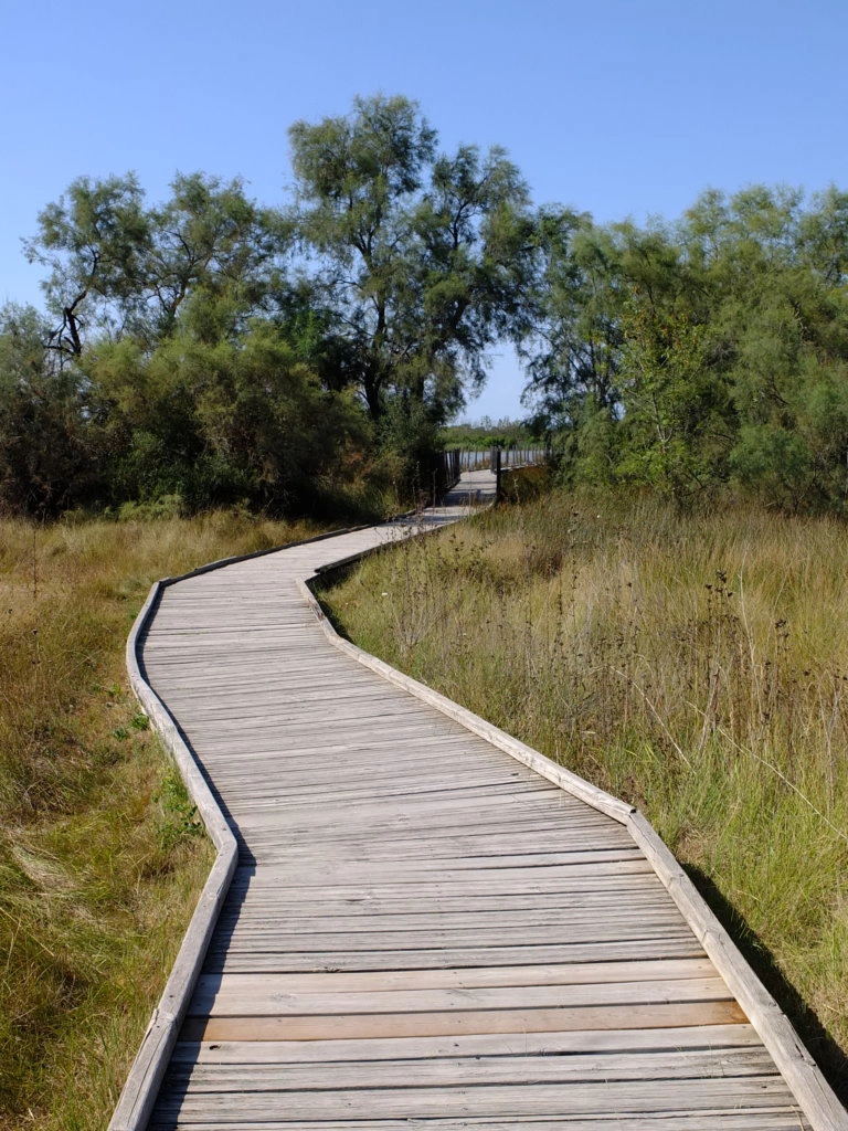 tour carbonniere camargue