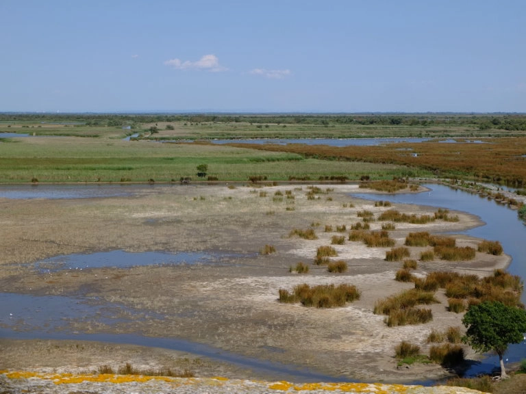 tour carbonniere camargue