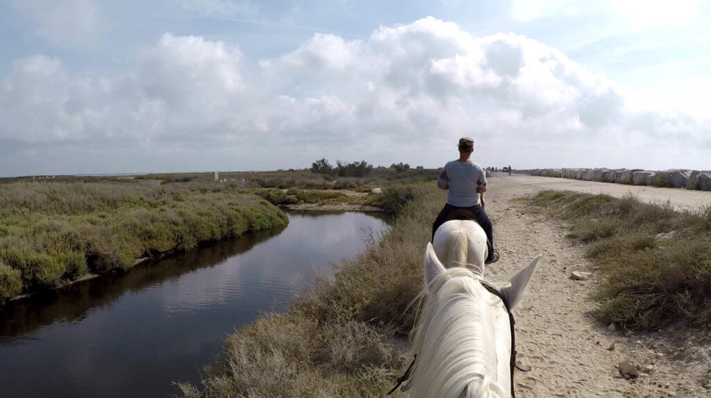 balade cheval camargue étang
