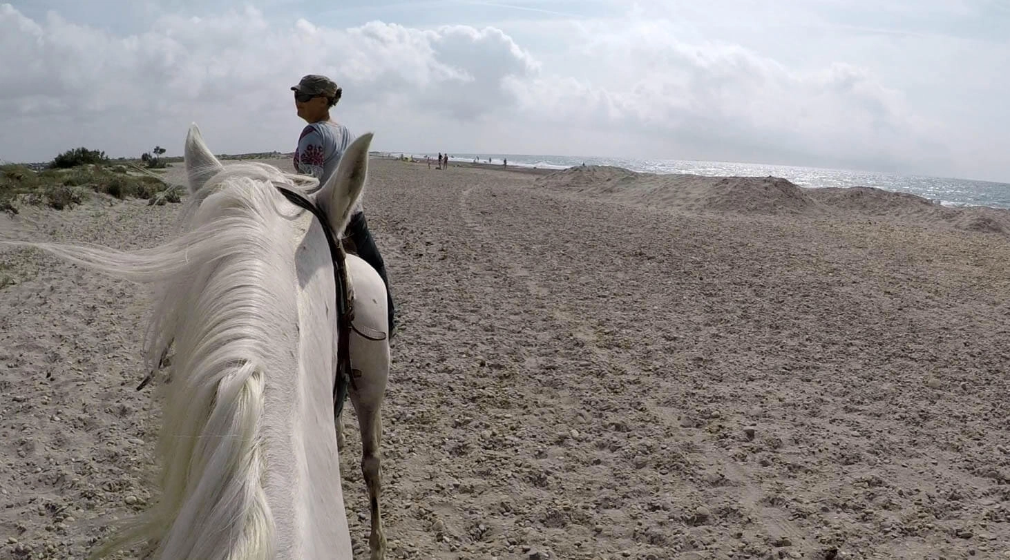 balade cheval saintes maries de la mer