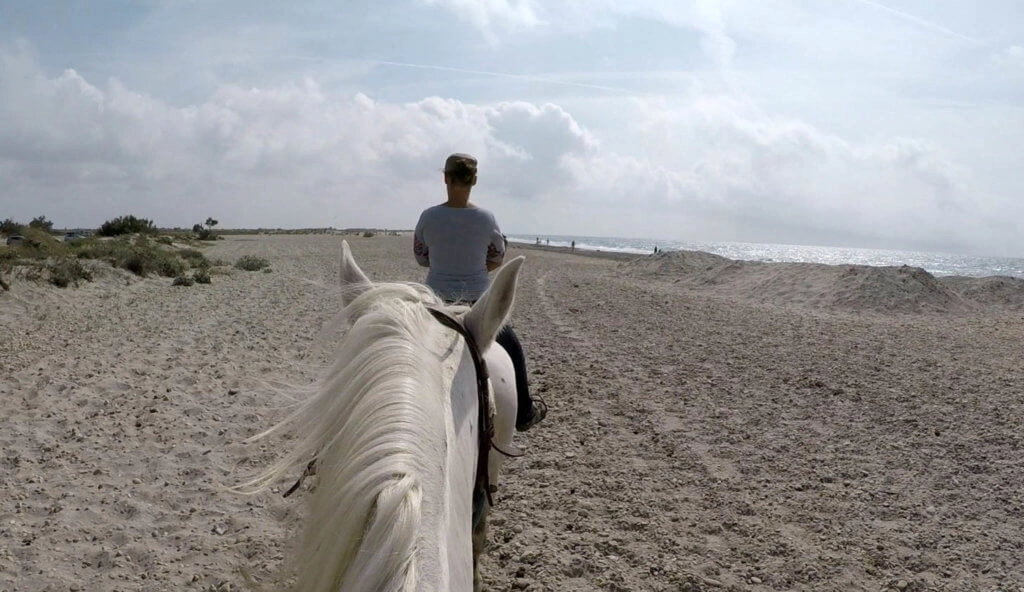 balade cheval camargue plage