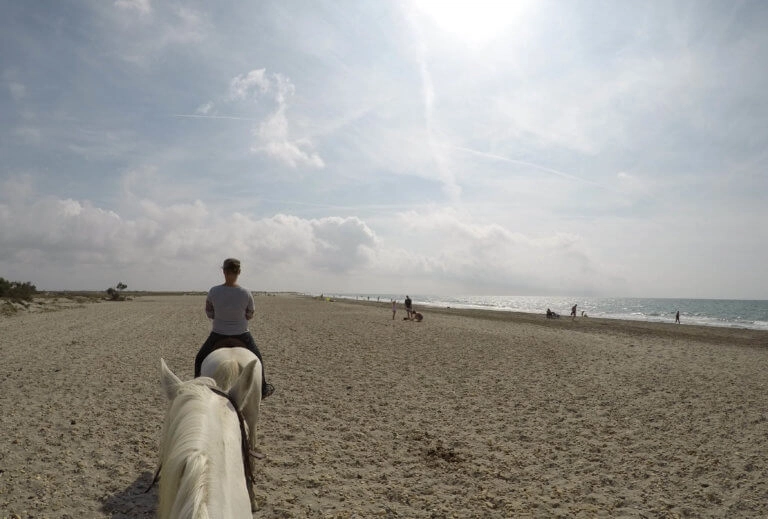 balade cheval plage camargue saintes maries de la mer