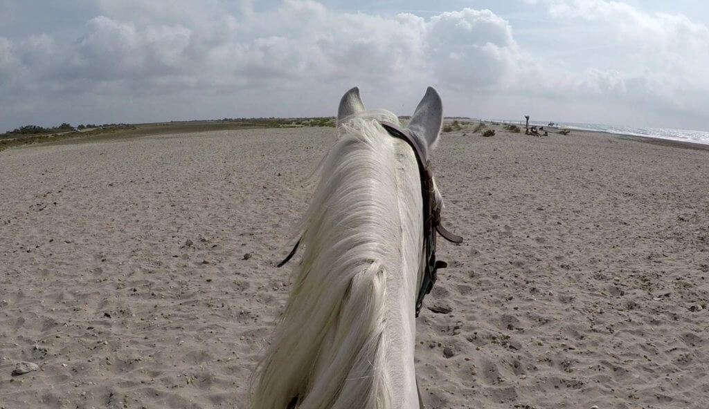 balade cheval plage saintes maries de la mer