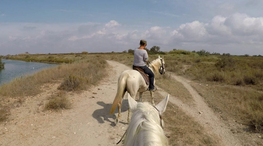 balade camargue cheval