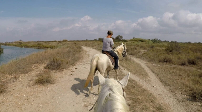 balade camargue cheval