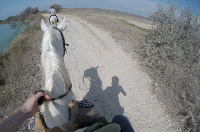 cavalier balade camargue