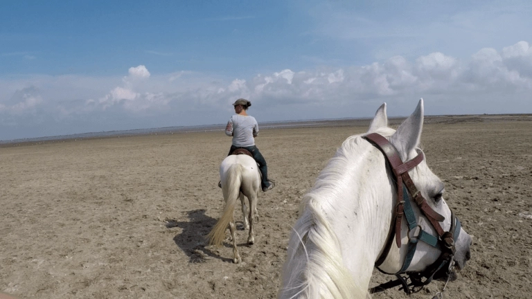 camarguais étang des impériaux
