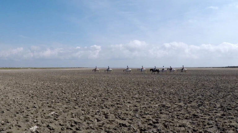 camarguais étang des impériaux