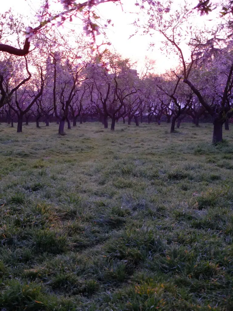 lever soleil quinta de los molinos