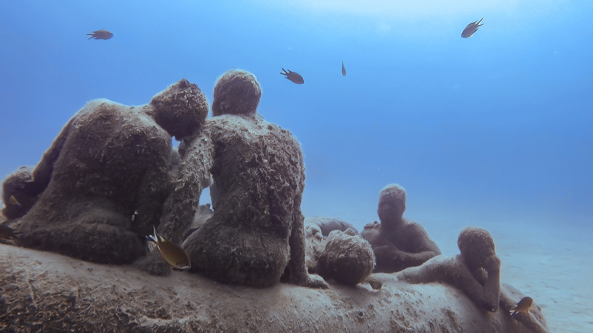 Museo Atlantico Lanzarote : plongée dans un musée sous-marin