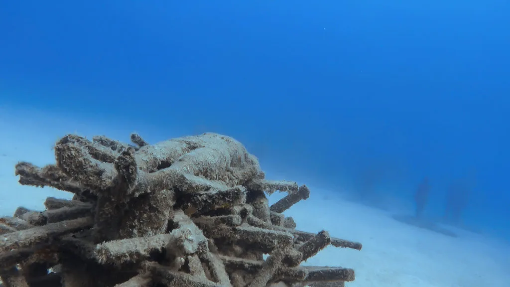 immortal museo atlantico