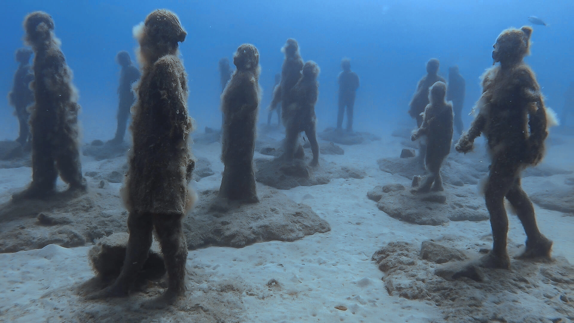 rubicon museo atlantico