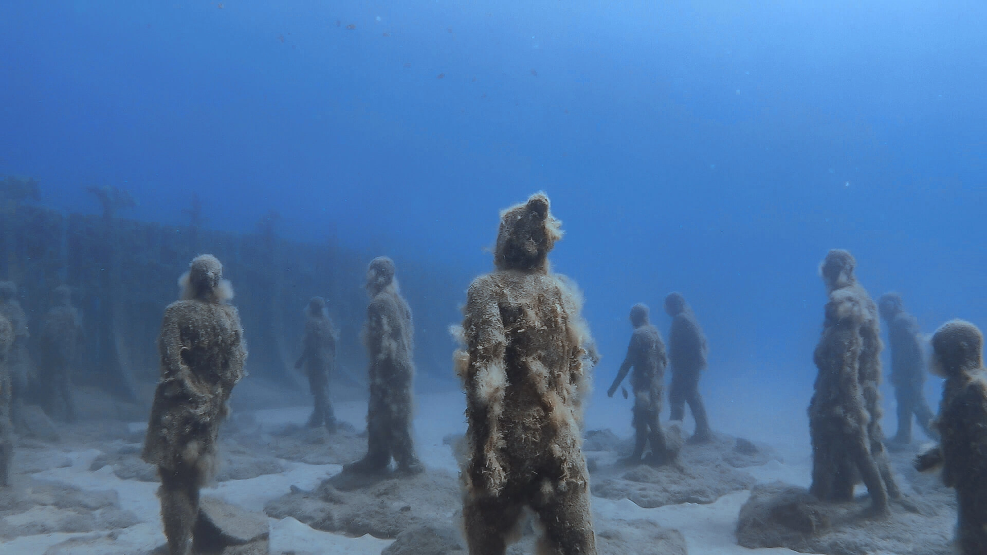 rubicon museo atlantico