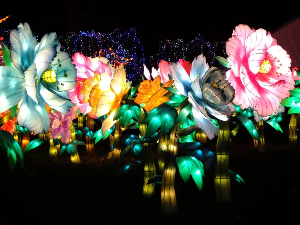 festival lanternes