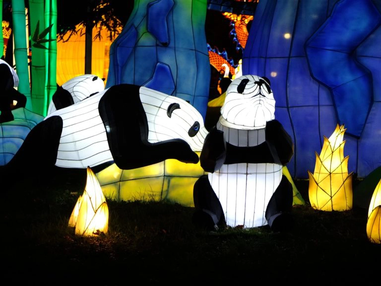 festival lanternes blagnac