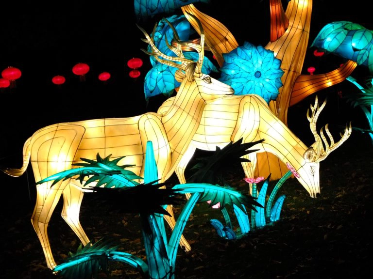 festival lanternes blagnac