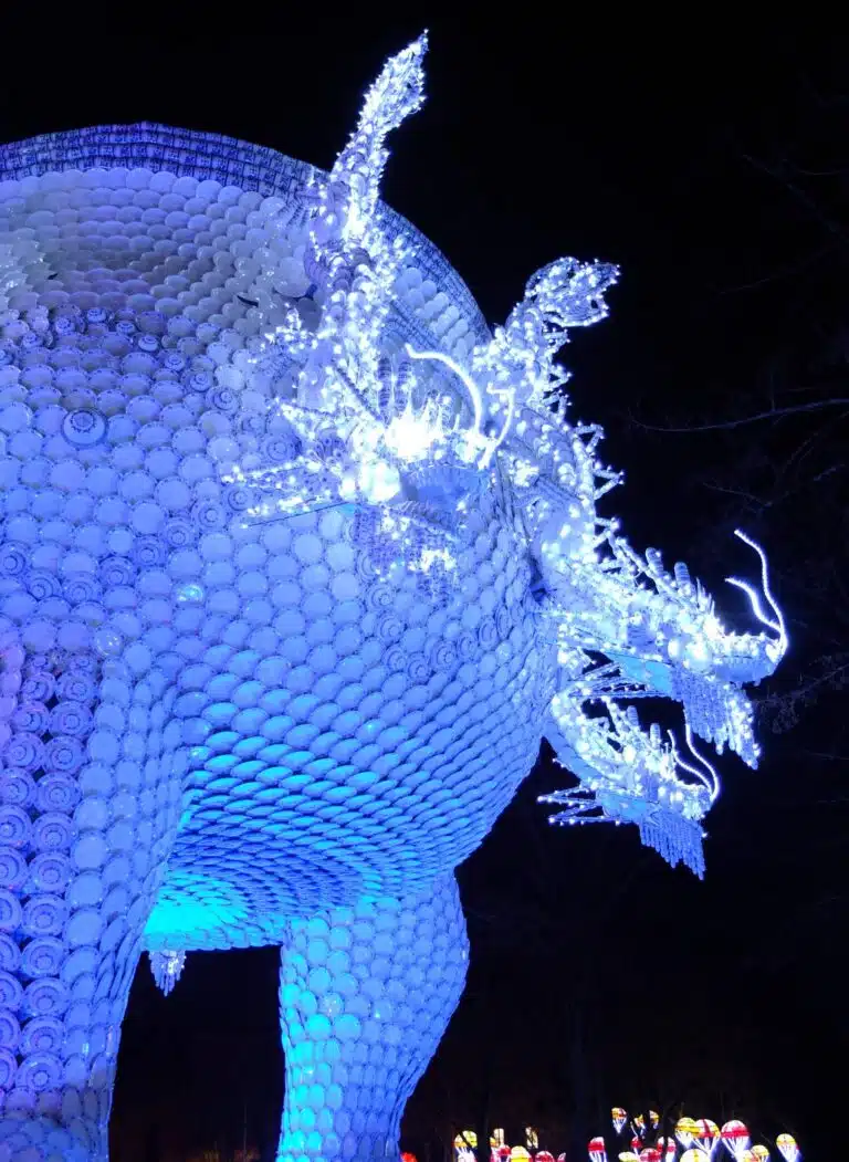 dragon porcelaine festival des lanternes montauban