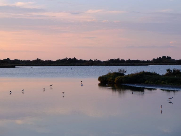 parc du pont de gau