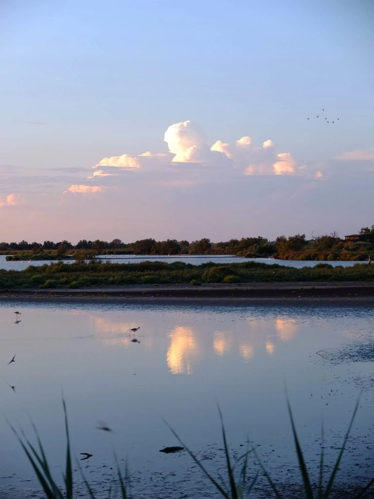 parc du pont de gau