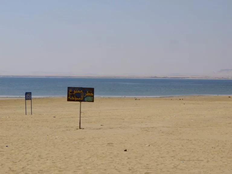 oasis du fayoum