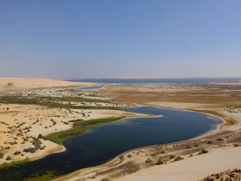 oasis du fayoum egypte