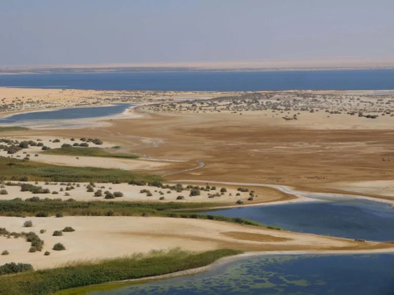 oasis du fayoum egypte