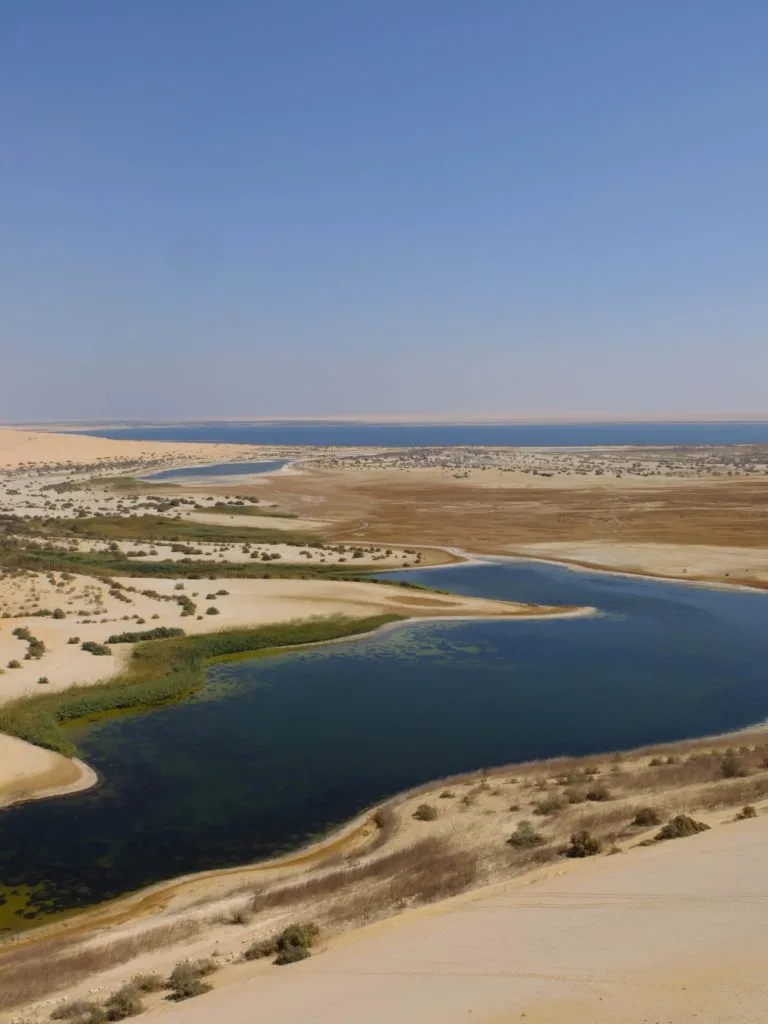oasis du fayoum egypte