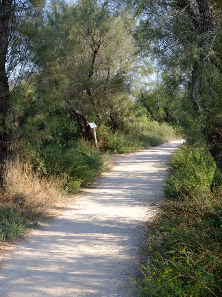 parc du pont de gau
