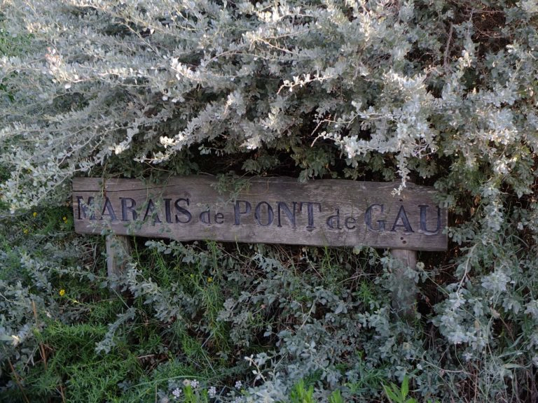 parc du pont de gau