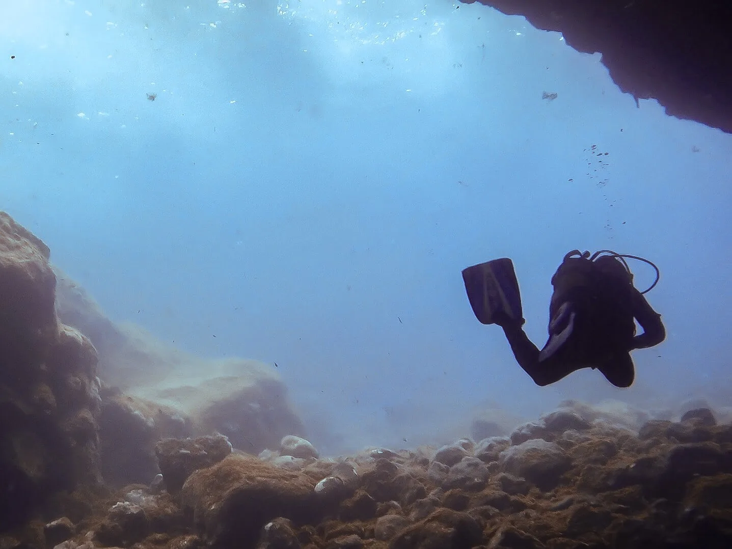 Plongée El Hierro : immersion dans les grottes sous-marines