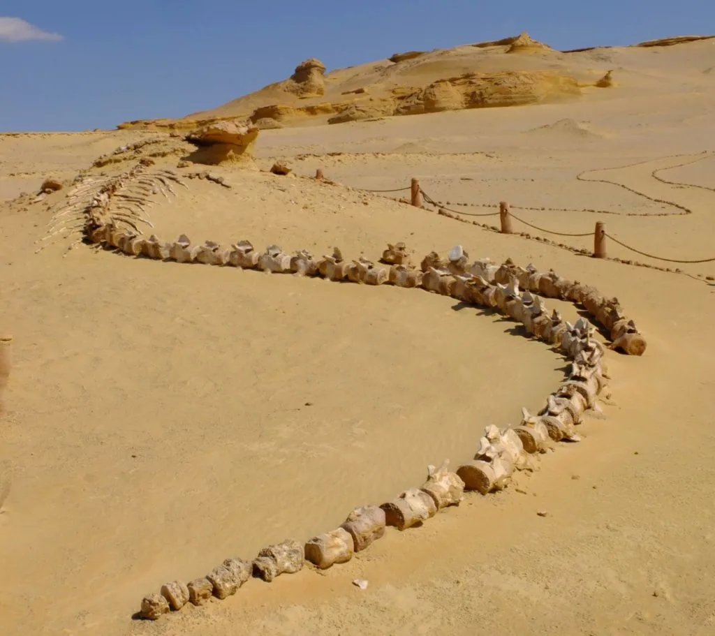 wadi al hitan