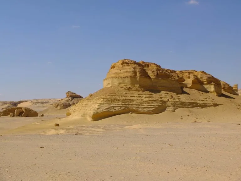vallée des baleines egypte