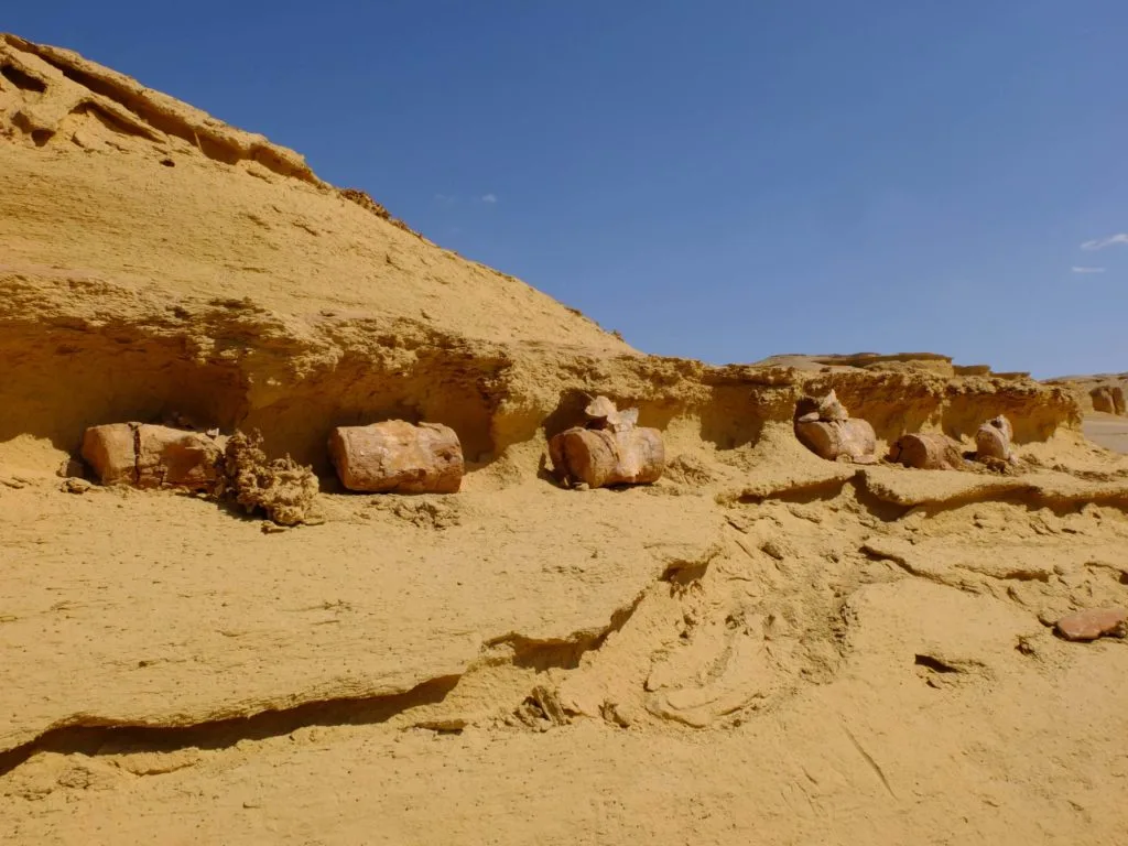wadi al hitan