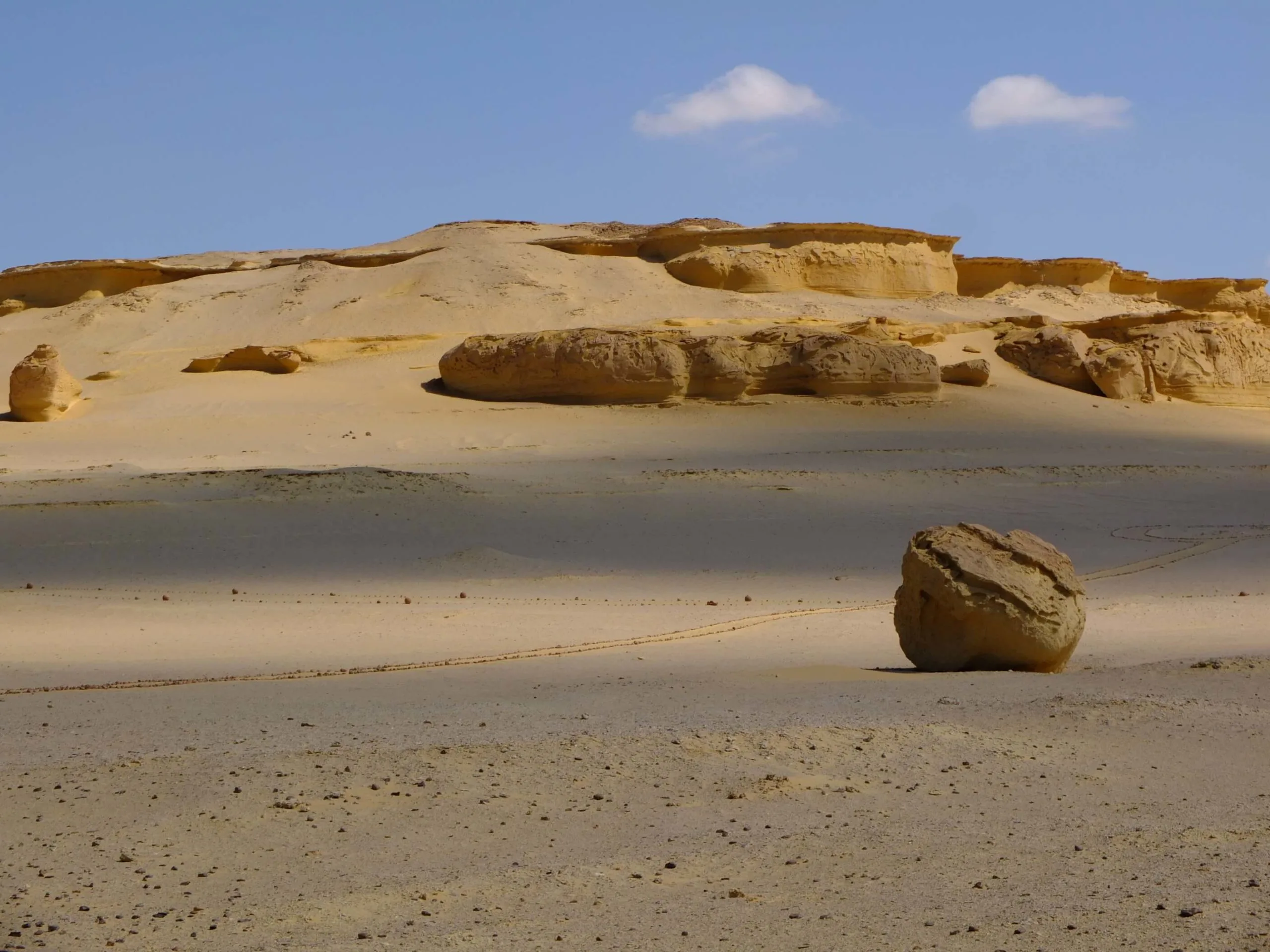 wadi al hitan vallée des baleines egypte