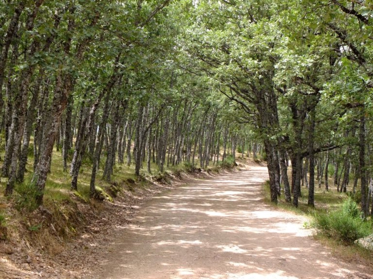 randonnée madrid rascafria