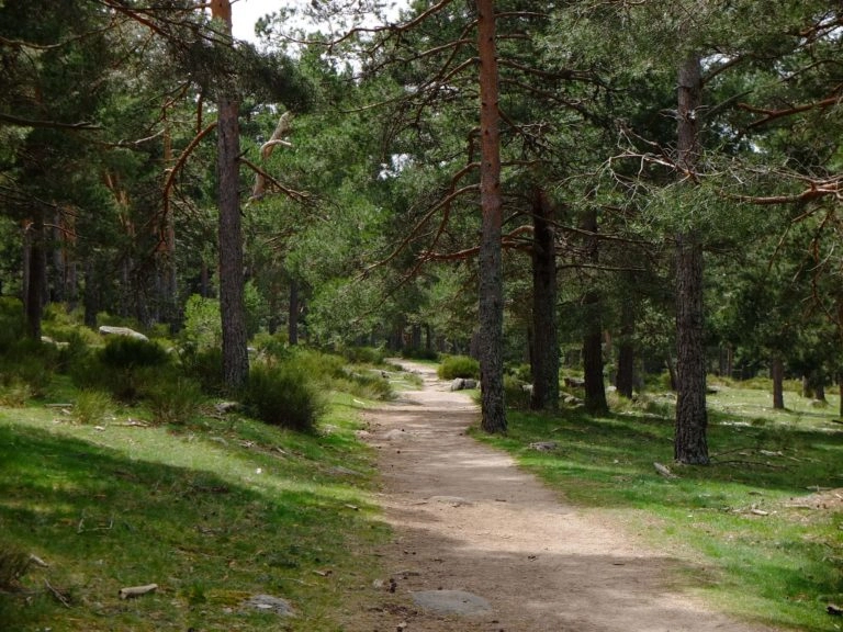 randonnée el escorial valle de los caidos