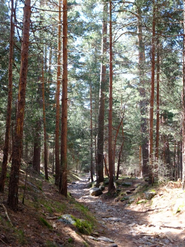 randonnée madrid camino schmid